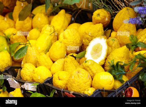 siracusa lemon fruit